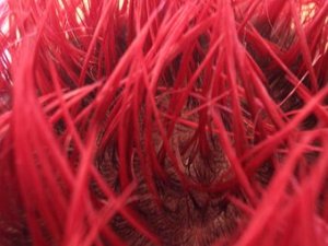 5643-stock-photo-red-hair-hairstyles-punk-thorny-gel-macro-extreme-close-up
